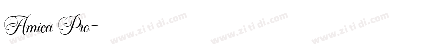 Amica Pro字体转换